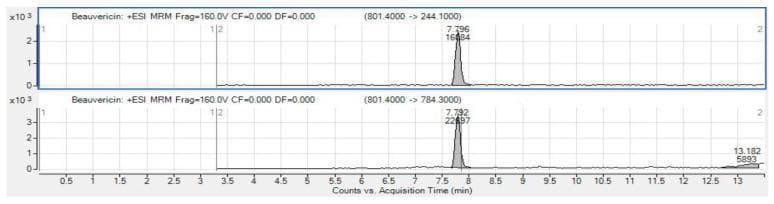 This diagnostic image displays two Extracted Ion Chromatograms (EICs) from a liquid chromatography-tandem mass spectrometry (LC-MS/MS) analysis used for mycotoxin detection. The chromatograms target Beauvericin (BEA), an emerging Fusarium-derived mycotoxin of clinical relevance in food safety and toxicology. Both charts plot Signal Intensity (y-axis, scaled to 10^3) against Acquisition Time in minutes (x-axis). The top panel shows a sharp peak at a retention time of approximately 7.796 minutes with an intensity of 16,484 counts, representing a specific ion transition (801.4000 -> 244.1000). The bottom panel shows a corresponding peak at 7.792 minutes with a higher intensity of 22,897 counts for a secondary transition (801.4000 -> 784.3000), along with a smaller secondary peak at 13.182 minutes. The use of Multiple Reaction Monitoring (MRM) and specific ion transitions illustrated here demonstrates the methodology for identifying and quantifying fungal toxins in environmental or clinical samples, essential for studying human exposure risks to nephrotoxic or immunosuppressive mycotoxins.