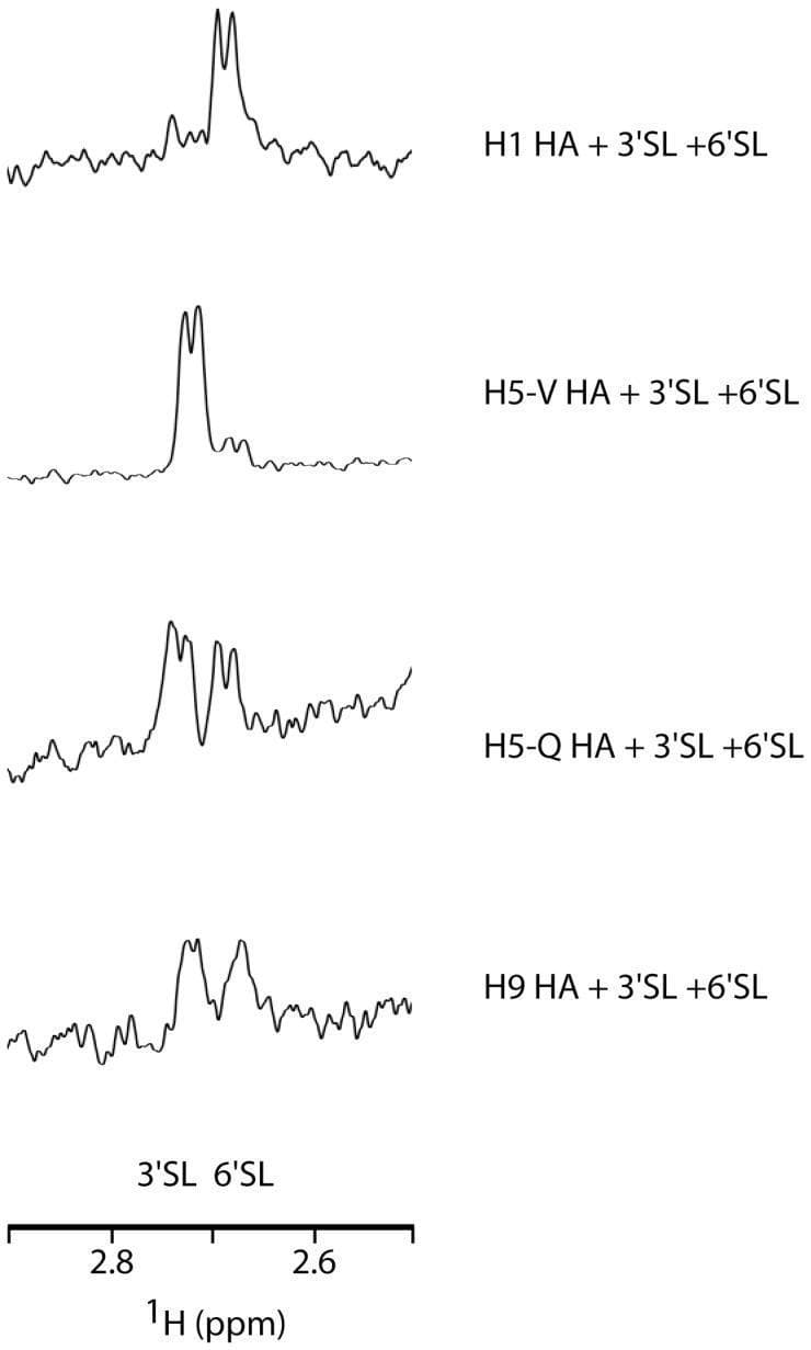The image displays Saturation Transfer Difference (STD) NMR spectra illustrating competition assays between different influenza A hemagglutinin (HA) subtypes and receptor analogs. Four vertically stacked spectra compare the binding affinities of H1 HA, H5-V HA, H5-Q HA, and H9 HA toward two sialic acid analogs: 2,3-sialyllactose (3'SL, human-like) and 2,6-sialyllactose (6'SL, avian-like). The x-axis represents the 1H chemical shift in ppm, ranging from 2.6 to 2.8, specifically focusing on the H3eq resonance peaks. In the H1 HA spectrum, a dominant peak at 2.67 ppm signifies a higher binding preference for 6'SL. Conversely, the H5-V HA spectrum shows a prominent peak at 2.73 ppm, indicating a strong preference for 3'SL. The H5-Q and H9 HA spectra exhibit dual binding patterns with relatively equal peak intensities for both 3'SL and 6'SL, though with varying levels of signal resolution. This diagnostic visualization is used in virology and pharmacology to determine host-receptor specificity and pandemic potential of different influenza strains.
