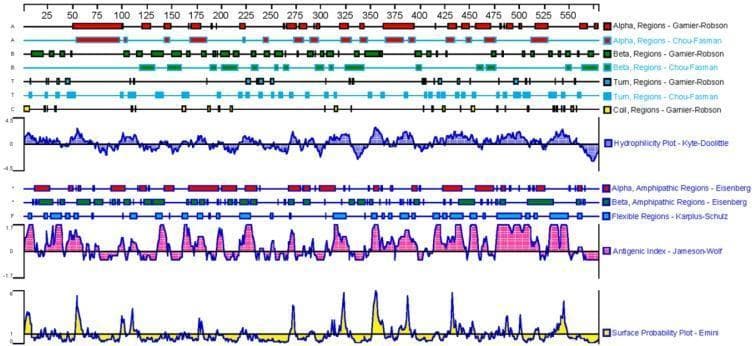 This bioinformatics diagram displays a comprehensive secondary structure and physicochemical property analysis of the human GPC3 (Glypican-3) protein sequence, spanning approximately 580 amino acids. The top section visualizes predicted secondary structural elements (Alpha-helices, Beta-sheets, Turns, and Coils) comparing the Garnier-Robson and Chou-Fasman algorithms. Below the structural predictions, several line graphs and plots represent protein characteristics: a Kyte-Doolittle Hydrophilicity Plot identifying hydrophobic and hydrophilic domains; Eisenberg plots for alpha and beta amphipathic regions; a Karplus-Schulz Flexible Regions plot; a Jameson-Wolf Antigenic Index highlighting potential epitope regions; and an Emini Surface Probability Plot predicting amino acid exposure. The data is aligned along a single horizontal axis representing the amino acid residue number, facilitating the identification of C-terminal regions rich in beta-turns and irregular coils. This visual serves as an educational tool for protein engineering and vaccine design, specifically for identifying antigenic subunits in oncological research.