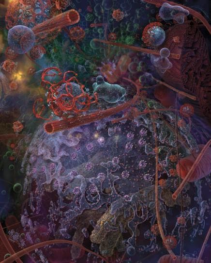 This Pathophysiology Diagram is a detailed scientific illustration of a eukaryotic cellular environment, focusing on molecular cell signaling and intracellular architecture. The central feature is a large, spherical structure representing the nucleus, characterized by a complex, porous nuclear envelope embedded with purple, globular nuclear pore complexes. Surrounding the nucleus is a crowded cytoplasm filled with cytoskeletal elements, including hollow, tubular microtubules colored in reddish-orange and filamentous actin structures. Various macromolecular complexes and organelles are visible in the background, including ribosomes, transport vesicles, and signaling proteins, depicted in diverse colors like green, blue, and purple. A prominent red, ribbon-like structure represents a signaling pathway or a protein polymer interacting with a spherical organelle. The illustration uses depth cuing and vibrant shading to demonstrate the molecular density and spatial organization of a human cell. It serves as an educational tool for cell biology, illustrating concepts of intracellular transport, structural biology, and the physical complexity of the cytoplasmic matrix at the macromolecular scale.