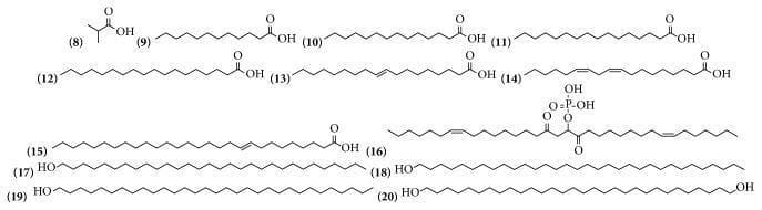 A chemical diagram displaying the molecular structures of various fatty acids and fatty alcohols, categorized as biochemical components relevant to human nutrition and pharmacology. The collection (labeled 8-20) illustrates a range of aliphatic compounds. Structures 8 through 15 primarily depict saturated and unsaturated fatty acids, characterized by long hydrocarbon chains terminating in a carboxylic acid group (-COOH). Notable features include branched-chain structures (8), varying carbon chain lengths (9-12), and examples of monounsaturated (13, 15) and polyunsaturated (14) fatty acids containing carbon-carbon double bonds. Structure 16 displays a more complex phosphorylated lipid derivative. Structures 17 through 20 represent fatty alcohols, identified by the terminal hydroxyl group (-OH) instead of a carboxyl group, including saturated long-chain alcohols (17-19) and a long-chain diol (20). This diagram serves as a visual reference for studying the biochemical classification, nomenclature, and structural diversity of lipids and their derivatives found in botanical sources with potential medicinal applications.