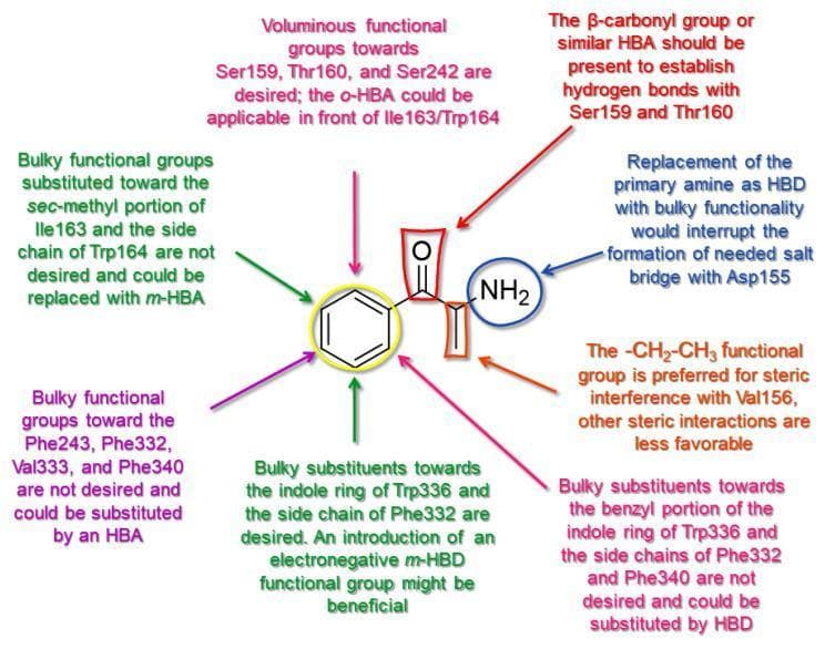 This 2D medicinal chemistry diagram illustrates a Structure-Activity Relationship (SAR) model for substituted cathinones (SCs) acting as ligands for the human 5-HT2A receptor. The central chemical scaffold consists of a benzene ring core connected to a beta-carbonyl (C=O) group, an alkyl chain with an ethyl (-CH2-CH3) substituent, and a primary amine (-NH2). Colored arrows and annotations detail specific pharmacophoric requirements for receptor binding and agonizing activity. Key features include: the beta-carbonyl group required for hydrogen bonding with Ser159 and Thr160; the primary amine acting as a hydrogen bond donor (HBD) to form a critical salt bridge with Asp155; and the ethyl group providing optimal steric interference with Val156. Around the benzene ring, the model highlights specific zones for substitutions: voluminous functional groups are favored toward Ser159, Thr160, Ser242, and the indole ring of Trp336, while bulky substituents are discouraged in regions directed toward Ile163, Trp164, Phe243, Phe332, Val333, and Phe340. This diagram serves as an educational tool for pharmacodynamic profiling and virtual screening of potential psychostimulant or psychedelic agents.