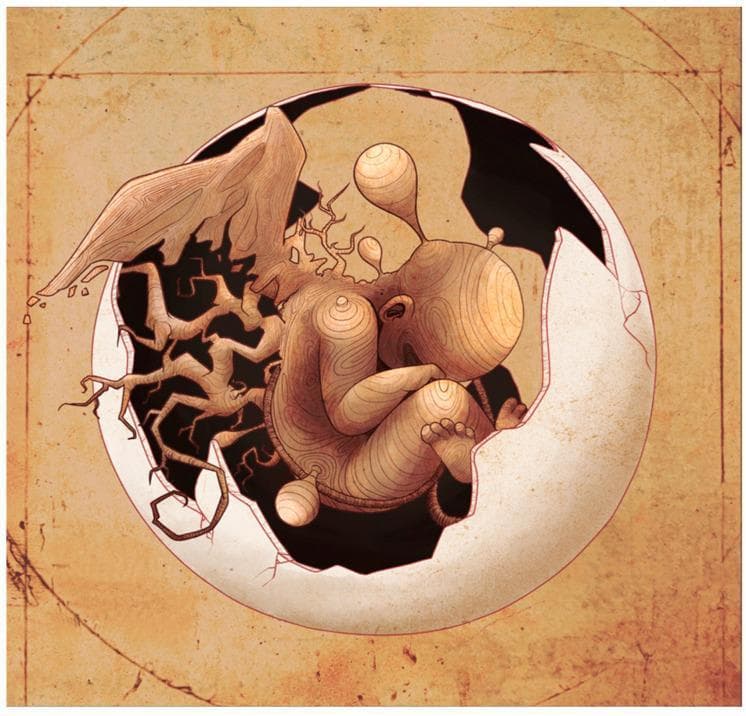 This medical illustration is a conceptual artistic rendition of oncogenesis recapitulating embryogenesis, portraying a human embryo or fetus situated within a cracked eggshell. The central figure is depicted in a curled fetal position, exhibiting an unusual topographical or wood-grain texture across its surface. Distortions in the figure include bulbous protrusions emerging from the head and a complex, root-like or dendritic structure extending from the dorsal region, symbolizing aberrant growth or tumor development (oncogeny). The image is set against a parchment-like background with faint geometric line drawings reminiscent of Renaissance anatomical sketches. This conceptual diagram illustrates the pathological relationship between embryonic stem cell (ESC) pathways and cancer stem cells (CSC), highlighting the 'distorted mirror image' theory where tumorigenesis mimics developmental ontogeny. It serves as a visual metaphor for how tumors utilize developmental mechanisms for growth and immune evasion, relevant to oncology, embryology, and cell biology curriculum.