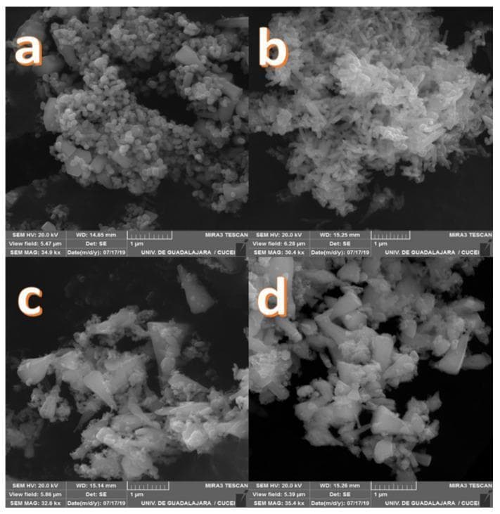 Scanning electron microscopy (SEM) images of Zinc-Calcium (Zn-Ca) nanocomposites, synthesized for biomedical applications such as antibacterial agents and dental restorative materials. The four-panel figure displays varying morphologies based on calcium dopant concentration: (a) pure ZnO, (b) Zn-Ca 1%, (c) Zn-Ca 3%, and (d) Zn-Ca 5%. The images demonstrate several characteristic nanoparticle structures, including spherical particles, conical shapes with hexagonal bases, and elongated rod-like morphologies. Magnification ranges from 30.4 kx to 35.4 kx, with scale bars of 1 μm. These nanocomposites are studied for their potential to inhibit both Gram-negative (e.g., E. coli) and Gram-positive (e.g., S. aureus) bacteria through the release of reactive oxygen species (ROS) and Zn2+ ions, which damage bacterial cell membranes and cytoplasmic contents. The visual data is essential for correlating physical particle morphology and surface area with the observed antibacterial efficacy and clinical utility in medical biomaterial engineering.
