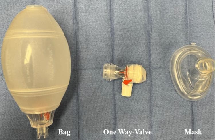 A clinical photograph displaying the disassembled components of a manual resuscitator, commonly known as an Ambu bag, used in emergency ventilation and airway management. The image is divided into three labeled sections from left to right: 'Bag', 'One-Way-Valve', and 'Mask'. The 'Bag' section shows a self-inflating, translucent, silicone-based reservoir with a pear-shaped, ridged design for grip and a connector at the distal end. The central 'One-Way-Valve' component is a non-rebreathing valve mechanism featuring a clear plastic housing with internal red and silver flow control elements and a perpendicular white oxygen inlet port. The 'Mask' section shows a clear, contoured anatomical face mask with a soft, inflatable seal designed for an airtight fit over a patient's nose and mouth. This image serves as an educational tool for identifying the equipment required for bag-valve-mask (BVM) ventilation and highlights the role of the one-way valve in directing inspiratory and expiratory gases.