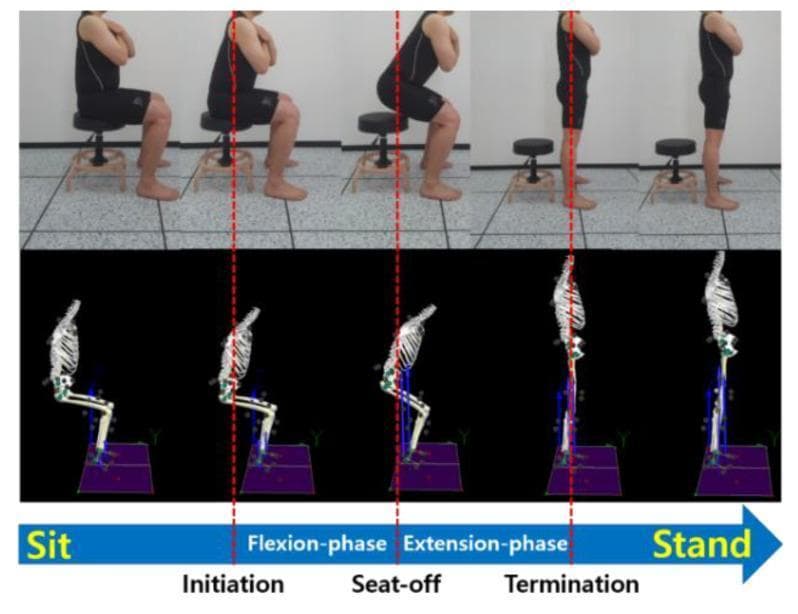 A multi-panel clinical biomechanics diagram illustrating the sit-to-stand (STD) movement. The image is divided into a top row of clinical photographs showing a person and a bottom row of matching skeletal motion-capture models. The sequence depicts five stages of movement: Initial Sit, Initiation, Seat-off, Termination, and Final Stand. Vertical dashed red lines align key timepoints across both rows. The movement is categorized into a 'Flexion-phase' (initiation to seat-off) characterized by forward trunk lean and increasing hip flexion, and an 'Extension-phase' (seat-off to termination) where the trunk, hips, and knees move toward full vertical alignment. In the clinical photos, the subject maintains arms crossed over the chest to isolate lower extremity and trunk mechanics. The skeletal models emphasize joint angles of the spine, femur, and tibia relative to a force plate and coordinate grid. This visual is designed for kinesiology and physical therapy education to demonstrate postural transitions, center of mass shifts, and phase-specific joint kinematics during functional mobility.