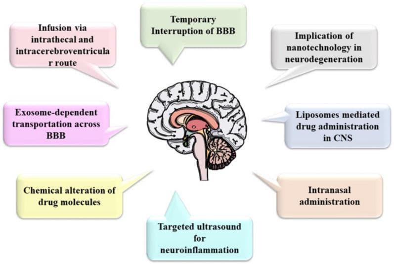 This infographic illustrates various brain-targeted drug delivery systems and strategies, specifically within the context of managing Alzheimer's disease and neurodegeneration. At the center is a sagittal, schematic illustration of the human brain, highlighting the cerebral cortex, corpus callosum, thalamus, brainstem, and cerebellum. Surrounding the anatomical diagram are callout boxes detailing diverse pharmacological and technological approaches to bypass or modulate the blood-brain barrier (BBB). Listed methods include invasive techniques such as intrathecal and intracerebroventricular infusion, and non-invasive routes like intranasal administration. Advanced biomedical strategies shown include the use of nanotechnology, liposome-mediated delivery in the central nervous system (CNS), and exosome-dependent transportation. Additionally, the diagram features physiological and physical interventions, such as the temporary interruption of the BBB, chemical alteration of drug molecules to enhance permeability, and the use of targeted ultrasound to address neuroinflammation. This visual summary is designed for medical education regarding neuro-pharmacology and drug delivery innovation in neurodegenerative disorders.