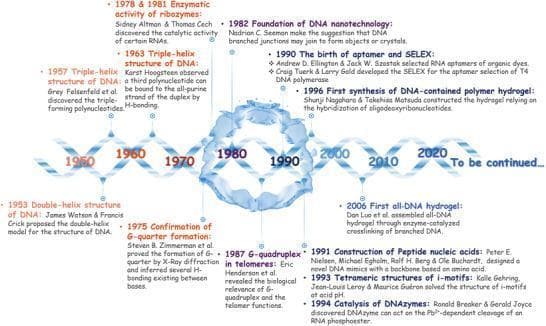 This infographic presents a horizontal timeline illustrating scientific milestones in DNA nanotechnology and nucleic acid hydrogels (NAHs) from 1950 to the 2020s. The timeline is visually anchored by a blue double-helix DNA strand, with decade markers serving as nodes for historical breakthroughs. Key historical points include the 1953 proposal of the double-helix structure by Watson and Crick, the discovery of triple-helix structures in 1957 and 1963, and the enzymatic activity of ribozymes (1978/1981). Transitioning into functional DNA nanotechnology, the timeline highlights the 1982 foundation of the field by Nadrian Seeman, the birth of aptamers and SELEX in 1990, and the construction of peptide nucleic acids (1991). Significant developments in hydrogel science are featured, specifically the first synthesis of a DNA-contained polymer hydrogel in 1996 by Nagahara and Matsuda, and the 2006 assembly of the first all-DNA hydrogel by Dan Luo et al. The diagram maps the progression from basic molecular biology to the engineering of smart, functionalized biomaterials for medical and diagnostic applications.