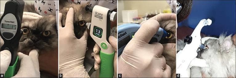 A comparative clinical photograph panel (a-d) demonstrating the use of four different portable tonometers for measuring intraocular pressure (IOP) in felines, serving as a model for ophthalmic diagnostic imaging and device comparison. Image (a) shows the Tonovet, a black rebound tonometer; (b) features the Tonovet Plus, displaying a digital reading of 13 mmHg; (c) shows the Tono-Pen Avia Vet, an applanation tonometer; and (d) displays the Kowa HA-2 hand-held Goldmann applanation tonometer. Each frame illustrates proper clinical technique: the subject's head is stabilized by gloved hands, and the eyelids are gently retracted to ensure the device probe makes perpendicular contact with the central cornea without applying pressure to the globe, which could artifactually elevate IOP. This visual highlights various imaging modalities and diagnostic tools used in ophthalmology to screen for conditions such as glaucoma or uveitis, emphasizing the ergonomic differences and digital interfaces of standard tonometric equipment.