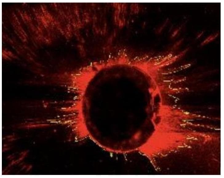 This diagnostic image is a Confocal Laser Scanning Microscopy (CLSM) micrograph showing a cross-section of a human tooth root canal. The central dark circular area represents the lumen of the root canal. Surrounding this central void is a prominent, irregular ring of bright red fluorescence, which identifies the penetration of endodontic sealer into the pericanal dentin. Radiating outward from this primary ring are fine, fluorescent red streaks and tag-like structures, illustrating the penetration of the sealer material into the dentinal tubules. The distribution and depth of these streaks are used in endodontics to evaluate the efficiency of different irrigation protocols (such as NaOCl or CHX) and sealing techniques. The image highlights the interface between the root canal wall and the dentinal substrate, emphasizing the adaptation and tubular penetration of dental biomaterials necessary for a fluid-tight apical seal.