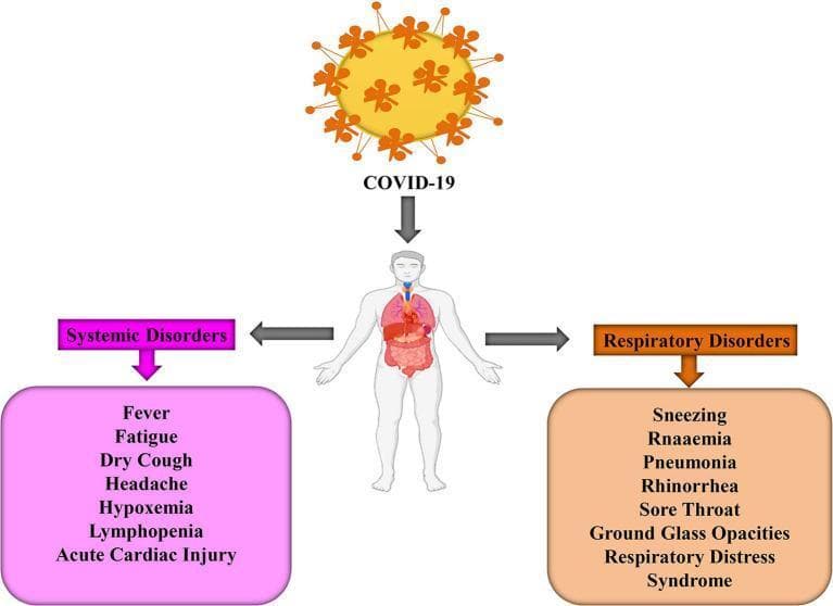 This medical infographic illustrates the systemic and respiratory clinical manifestations of COVID-19 infection. At the top, a SARS-CoV-2 virion with characteristic spike proteins is shown pointing toward a central human anatomical figure that highlights the lungs and internal organs. The diagram is bifurcated into two main categories of pathologies. The left section, labeled 'Systemic Disorders' in pink, identifies constitutional and multi-organ symptoms including fever, fatigue, dry cough, headache, hypoxemia, lymphopenia, and acute cardiac injury. The right section, labeled 'Respiratory Disorders' in orange, focuses on localized and severe pulmonary signs such as sneezing, rnaaemia, pneumonia, rhinorrhea, sore throat, ground-glass opacities (GGO) on imaging, and Acute Respiratory Distress Syndrome (ARDS). This illustration serves as an educational summary of the broad clinical spectrum of COVID-19, contrasting general body-wide physiological responses with specific upper and lower respiratory tract involvement.