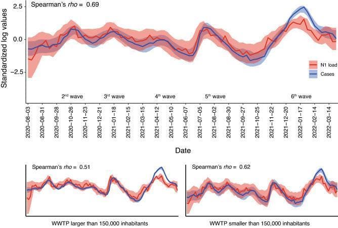 This infographic presents three line graphs illustrating the longitudinal correlation between SARS-CoV-2 viral loads in wastewater and clinical COVID-19 cases. The data spans from August 2020 to March 2022, capturing the 2nd through 6th pandemic waves. The Y-axis represents standardized log values, while the X-axis tracks the date. The red line indicates the standardized N1 viral load in sewage, and the blue line represents diagnosed clinical cases; shadowed ribbons denote standard deviation. The top, primary graph shows aggregated data across all monitored Wastewater Treatment Plants (WWTPs) with a Spearman’s rho of 0.69. The two smaller bottom graphs segregate these trends by population size: large WWTPs (serving >150,000 inhabitants, rho=0.51) and small WWTPs (serving <150,000 inhabitants, rho=0.62). The charts demonstrate the high utility of wastewater-based epidemiology (WBE) as a surveillance tool for predicting and tracking community-level viral transmission patterns and clinical surges in public health settings.