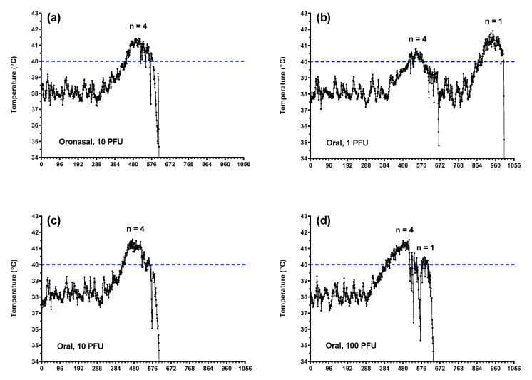 This set of line graphs illustrates core body temperature alterations in a ferret model of Ebola virus (EBOV) disease across different inoculation routes and doses. The graphs (a-d) plot temperature in degrees Celsius (°C) against time (every tick representing 4 hours). Subfigure (a) shows the oronasal route (10 PFU), while (b-d) show the oral route at 1, 10, and 100 PFU doses, respectively. A horizontal dashed line at 40°C indicates the threshold for fever. Common to most groups is an initial baseline fluctuation (37°C–39°C), followed by a progressive febrile response exceeding 41°C. Notably, higher doses (10 and 100 PFU) exhibit more rapid progression to peak fever, while the 1 PFU oral group displays a delayed or biphasic temperature profile. All lethal cases culminate in a sharp terminal decline (hypothermia), with temperatures dropping below 35°C, representing clinical deterioration and the near-terminal phase of the hemorrhagic fever syndrome.