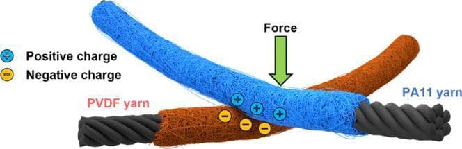 This pathophysiology diagram illustrates the operating principle of a wearable triboelectric nanogenerator (TENG) designed for smart medical textiles and health monitoring. The diagram shows two distinct core-shell fibers: a tribonegative PVDF yarn (blue) and a tribopositive PA11 yarn (brown), both featuring a conductive carbon nanotube (CNT) core (represented in black). The visual demonstrates the contact-electrification mechanism where an external mechanical force (indicated by a green vertical arrow) brings the two yarns into contact. This interaction results in a charge transfer at the interface, depicted by blue circles with '+' signs (positive charges) accumulating on the PVDF shell and yellow circles with '-' signs (negative charges) on the PA11 shell. This medical-grade material concept is used for energy harvesting from body movements and for creating self-powered biomechanical sensors, such as those used in gait analysis or haptic feedback for rehabilitation. The illustration highlights the conversion of mechanical kinetic energy into electrical potential through cyclic contact and separation.