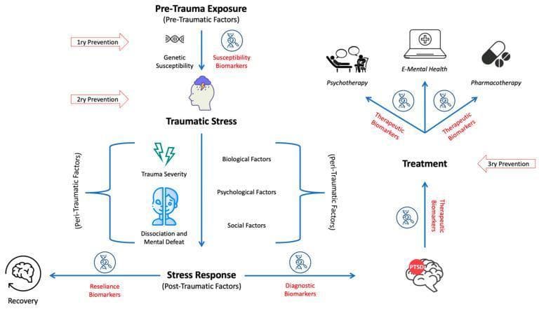 A comprehensive flowchart outlining the biopsychosocial model of Post-Traumatic Stress Disorder (PTSD) progression and management. The diagram follows a logical sequence from 'Pre-Trauma Exposure' to 'Recovery.' The first stage, Pre-Trauma, highlights genetic susceptibility and susceptibility biomarkers as targets for primary prevention. The central 'Traumatic Stress' phase identifies peri-traumatic factors, including trauma severity, dissociation, mental defeat, and biological, psychological, and social variables, marking the stage for secondary prevention. The 'Stress Response' (post-traumatic factors) leads to either 'Recovery'—facilitated by resilience biomarkers—or to a 'Treatment' phase. Treatment is categorized into three modalities: Psychotherapy (symbolized by figures in session), E-Mental Health (laptop icon), and Pharmacotherapy (pill icon), all of which are mediated by therapeutic biomarkers and represent tertiary prevention. Diagnostic biomarkers are positioned between the stress response and treatment stages. The infographic effectively illustrates the integration of biomarkers and multi-level prevention strategies (1ry, 2ry, 3ry) within the clinical trajectory of traumatic stress disorders.