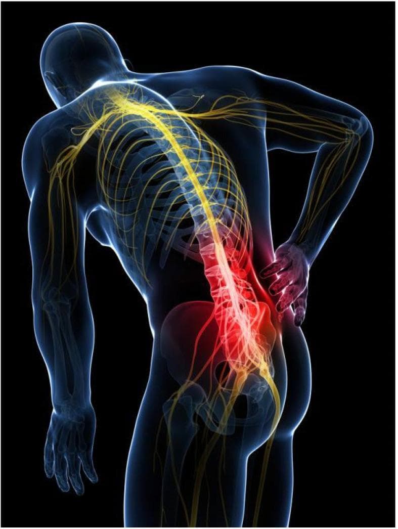 This medical illustration features a translucent anatomical diagram of a human male in a posterior oblique view, emphasizing the skeletal and nervous systems. The image illustrates axial midline low back pain, likely associated with lumbar discogenic disease. The vertebral column is shown from the thoracic region through the sacrum, with a complex network of yellow-coded nerve pathways branching from the spinal cord to the upper and lower extremities. A distinct red glow is concentrated over the lower lumbar spine (L3-L5) and the superior aspect of the pelvis, signifying the site of pain or inflammation. A hand is placed over this lumbar region in a classic clinical gesture for back pain. The diagram effectively demonstrates the relationship between the vertebral structures, neural distribution, and the clinical manifestation of somatic referred pain or discogenic pathology. It is designed for educational use to visualize spinal anatomy and common areas of musculoskeletal distress.