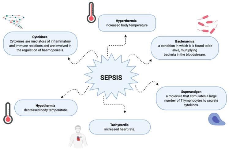 An educational pathophysiology diagram summarizing the potential symptoms and biological manifestations of sepsis. The central starburst label 'SEPSIS' connects via radial dashed lines to six descriptive boxes, each paired with a visual icon. Key clinical signs include 'Hyperthermia' (increased body temperature, represented by a high thermometer) and its counter-condition 'Hypothermia' (decreased body temperature, represented by a low thermometer), and 'Tachycardia' (increased heart rate, depicted by a highlighted heart on a human torso). Laboratory and biological features include 'Cytokines' (mediators of inflammation and haemopoiesis, shown as signaling molecules), 'Bacteraemia' (multiplying bacteria in the bloodstream, illustrated as bacilli), and the role of 'Superantigens' (molecules stimulating T lymphocytes to release cytokines, shown as a lymphocyte icon). This infographic serves as a basic to intermediate summary of systemic inflammatory response syndrome (SIRS) and the infectious triggers characterizing the septic state.