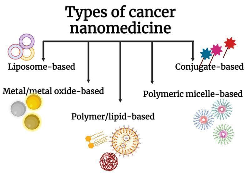 An educational infographic titled 'Types of cancer nanomedicine' providing a categorical classification of drug delivery systems. The diagram is organized hierarchically, branching into five primary categories of nanoparticles: 1) Liposome-based, illustrated as bilayered spherical vesicles; 2) Metal/metal oxide-based, depicted as solid inorganic spheres (e.g., gold or iron oxide); 3) Polymer/lipid-based, showing complex structures including lipid bilayers and polymer chains; 4) Polymeric micelle-based, represented as amphiphilic starburst arrangements with hydrophobic cores and hydrophilic shells; and 5) Conjugate-based, shown as small molecules attached to targeting ligands or polymers. The visual provides a fundamental overview of nanotechnology applied to oncology, focusing on diverse vehicle morphologies used to enhance drug solubility, prolong circulation, and improve targeted delivery to tumor sites. This classification is essential for understanding the pharmacological differences between approved nanodrugs and those in clinical development.