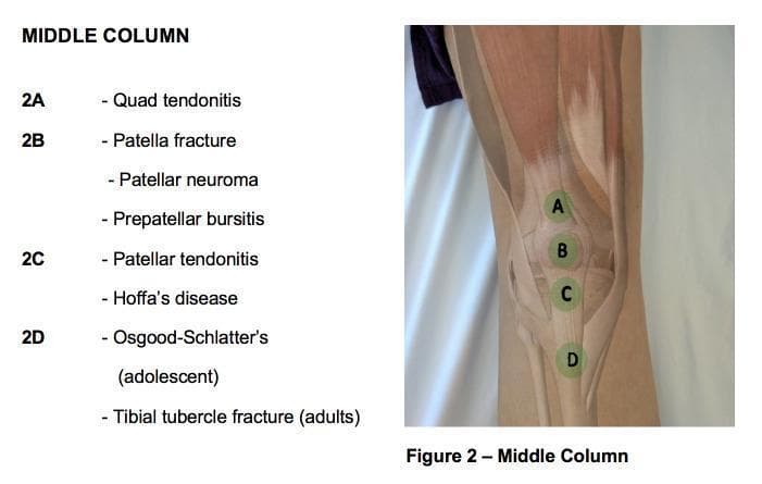 This educational infographic, titled 'Figure 2 – Middle Column', illustrates the surface anatomy and clinical differential diagnosis for anterior knee pain. The image features a clinical photograph of a lower limb with a transparent anatomical overlay showing the musculature and skeletal structure from the distal femur to the proximal tibia. Four green circular markers (A, B, C, D) are vertically aligned over the 'middle column' of the knee to pinpoint specific anatomical landmarks. Marker A corresponds to the quadriceps tendon (associated with quad tendonitis); B is positioned over the patella (related to patella fracture, patellar neuroma, and prepatellar bursitis); C indicates the patellar tendon (associated with patellar tendonitis and Hoffa’s fat pad disease); and D marks the tibial tuberosity (related to Osgood-Schlatter’s disease in adolescents and tibial tubercle fractures in adults). This anatomical diagram serves as a diagnostic guide for identifying localized pathology based on the site of anterior knee tenderness.