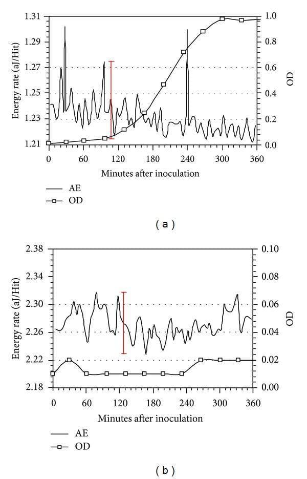 This figure presents two comparison charts, (a) and (b), depicting the growth kinetics and metabolic activity of Lactococcus lactis over 360 minutes. The primary metrics are Optical Density (OD), indicating bacterial concentration, and Energy Rate measured via Acoustic Emission (AE) in attojoules per hit (aJ/Hit). Graph (a) shows normal bacterial growth: the OD curve follows a characteristic sigmoidal pattern with lag, log, and stationary phases, while the AE data exhibits significant fluctuations and distinct peaks (e.g., around 108 and 240 minutes) representing metabolic energy release. Graph (b) demonstrates the effect of the metabolic inhibitor Sodium Azide (NaN3). In this panel, the OD remains near-baseline (indicating total inhibition of growth), and the AE signal shows only low-level background fluctuations without significant metabolic peaks. Red bars indicate ±3σ deviation standards for noise assessment. These graphs are utilized in microbiology and biomedical engineering to evaluate non-invasive methods for monitoring microbial activity and metabolic inhibition.