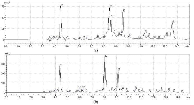 This diagnostic image consists of two high-performance liquid chromatography (HPLC) chromatograms, labeled (a) and (b), illustrating the qualitative and quantitative analysis of water-soluble vitamins in medicinal plant extracts. The x-axis represents retention time in minutes (0.0 to 14.0 min), and the y-axis indicates detector response in milli-absorbance units (mAU). Chromatogram (a) displays the chemical profile of Taraxacum officinale with peak heights ranging up to 75 mAU. Chromatogram (b) displays Arctium lappa with significantly higher absorbance peaks reaching approximately 350 mAU, suggesting higher concentrations of specific compounds. Both charts feature numbered peaks corresponding to specific bioactive compounds: peak 6 indicates Vitamin C (ascorbic acid), peaks 15 and 16 correspond to Vitamin B1 (thiamine), peak 20 corresponds to Vitamin B3 (niacin), and peak 24 corresponds to Vitamin B6 (pyridoxine). The visual data serves as an educational tool for pharmacognosy and nutritional chemistry, demonstrating the separation and identification of essential vitamins through HPLC peak morphology and retention time.