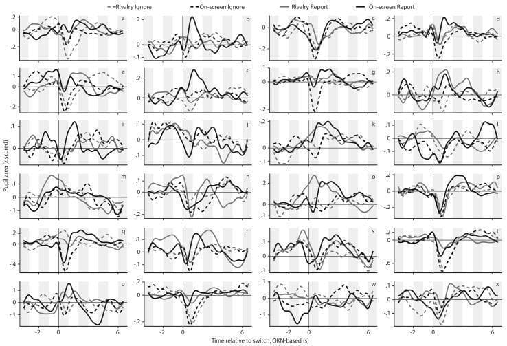 This Comparison Chart displays per-observer pupil response curves under four experimental conditions of binocular rivalry and on-screen replay. The figure is organized into a 6x4 grid of panels (labeled a through x), with each panel representing data from one of 24 unique human observers. The x-axis for every plot denotes the time in seconds relative to a perceptual switch (ranging from -3s to +6s), identified using an optokinetic nystagmus (OKN)-based method. The y-axis represents the z-scored pupil area. Each panel contains four curves corresponding to the study's 2x2 factorial design: Rivalry Ignore (dashed light gray), On-screen Ignore (dashed black), Rivalry Report (solid light gray), and On-screen Report (solid black). These diagnostic-style plots demonstrate the variability and consistency of pupillary constriction (C1) and subsequent dilation (D1) following perceptual switches. The visual material illustrates key concepts in ophthalmology and neuroscience, specifically relating to how the autonomic nervous system and visual cortex modulate pupil size during endogenous and exogenous shifts in perception, with clinical relevance to understanding the neurophysiological markers of cognitive load and sensory transitions.
