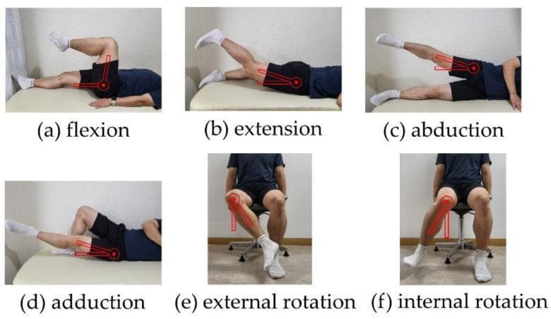 A multi-panel series of clinical photographs illustrating the standard assessment of hip joint Range of Motion (ROM). The panels are labeled (a) through (f) and demonstrate specific movements with goniometric overlays indicated by red circular axes and linear vectors. (a) Flexion: Subject in supine position with the knee flexed toward the chest. (b) Extension: Subject in prone position with the lower limb extended posteriorly. (c) Abduction: Subject in a side-lying (lateral decubitus) position with the limb elevated away from the midline. (d) Adduction: Subject in side-lying position with the limb crossing the midline. (e) External rotation and (f) Internal rotation: Subject in a seated position with the hip and knee at 90-degree flexion, showing transverse plane movement of the femur relative to the knee joint axis. The red overlays represent the placement of a goniometer, with the axis centered on the greater trochanter or the knee (for rotation), used to measure angular displacement. This visual guide is intended for clinical physical examination, rehabilitation, and the assessment of conditions like adhesive hip capsulitis or femoroacetabular impingement.