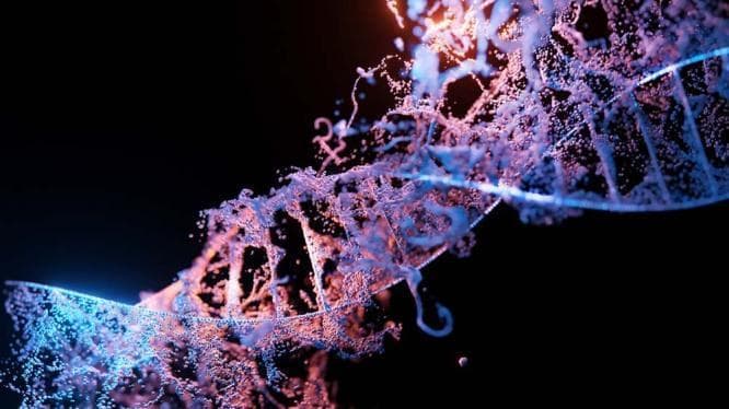 This medical illustration represents a molecular model of a deoxyribonucleic acid (DNA) double helix, categorized under genetics and molecular biology. The image features a stylized, high-contrast visualization where one phosphodiester backbone is depicted with a solid, light blue, segmented geometric structure, and the antiparallel strand is rendered as a nebulous, particulate cloud in shades of purple and orange. Horizontal rungs, representing nitrogenous base pairs (adenine-thymine and cytosine-guanine), connect the two strands across the central axis. The use of particulate textures and glowing elements suggests concepts of genetic instability, DNA damage, or the dynamic nature of replication and transcription. This artistic rendering is suitable for educational use in explaining basic DNA architecture, genomic medicine, or molecular pathology at an introductory to intermediate level.