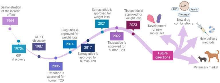 A timeline/progression infographic detailing critical milestones in the development of Glucagon-Like Peptide-1 (GLP-1) receptor agonists for Type 2 Diabetes (T2D) and obesity. The timeline follows a sinusoidal path from left to right, starting with basic science discoveries: the demonstration of the incretin effect (1964), the discovery of Gastric Inhibitory Polypeptide (GIP) (1970s), and the identification of GLP-1 (1987). It then transitions to clinical pharmacology and regulatory approvals, starting with exenatide for T2D (2005), followed by liraglutide for weight loss (2014), semaglutide for T2D (2017) and weight loss (2021), and tirzepatide (a dual GIP/GLP-1 agonist) for T2D (2022) and weight loss (2023). The rightmost section, titled 'Future directions,' branches into four pathways illustrated with icons: development of new molecules (molecular structures), new drug combinations (GLP-1, GIP, Glucagon, Amylin clusters), new delivery methods (syringe and capsule icons), and expansion into the veterinary market (canine and feline silhouettes). This visual represents the evolution from metabolic endocrinology research to modern pharmacotherapy and next-generation obesity management.