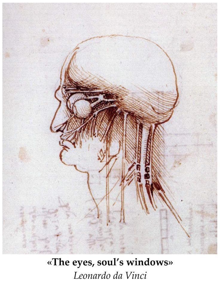Anatomical Diagram: A historical medical illustration by Leonardo da Vinci, depicting a right lateral profile of the human head and neck. The drawing serves as an early study of gross anatomy and neuroanatomy. It features a detailed representation of the orbit, showing the eyeball as a spherical structure with attached extraocular muscles or neural pathways extending posteriorly toward the brain. The cranium is outlined, with fine hatching and cross-hatching used to provide topographical depth to the skull and facial features. The nasal cavity and oral region are visible in profile. Extending inferiorly from the base of the skull through the neck are several vertical, parallel structures representing major vessels (carotid arteries/jugular veins) and possibly nerves or muscular bundles. The illustration highlights the early Renaissance focus on understanding the relationship between surface anatomy and underlying physiological structures, particularly the visual system's connection to the central nervous system.