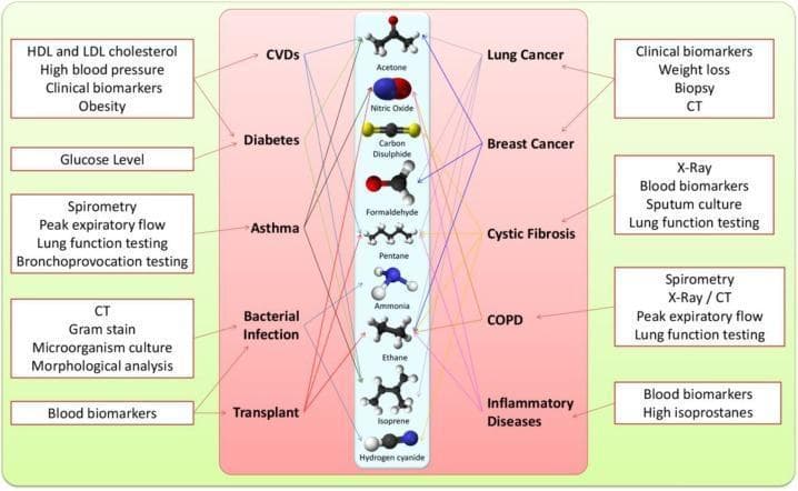 A medical infographic and conceptual flowchart illustrating the integration of exhaled breath (EB) analysis into the diagnostic workflow for various clinical conditions. The diagram is organized into three vertical panels. The left and right green panels list traditional diagnostic parameters and tests, including blood pressure, glucose levels, spirometry, CT imaging, and sputum culture. The central pink panel lists major disease categories, such as CVDs, Diabetes, Asthma, Lung Cancer, and COPD, flanking a central column of molecular ball-and-stick models. These models represent volatile organic compounds (VOCs) found in breath, including Acetone, Nitric Oxide, Carbon Disulphide, Formaldehyde, Pentane, Ammonia, Ethane, Isoprene, and Hydrogen Cyanide. Connecting lines visually map specific clinical biomarkers and diagnostic tests to their corresponding diseases and associated volatile metabolites. This conceptual diagram demonstrates how breathomics and the identification of metabolic biomarkers can augment existing diagnostic modalities to accelerate disease detection and personalized monitoring.