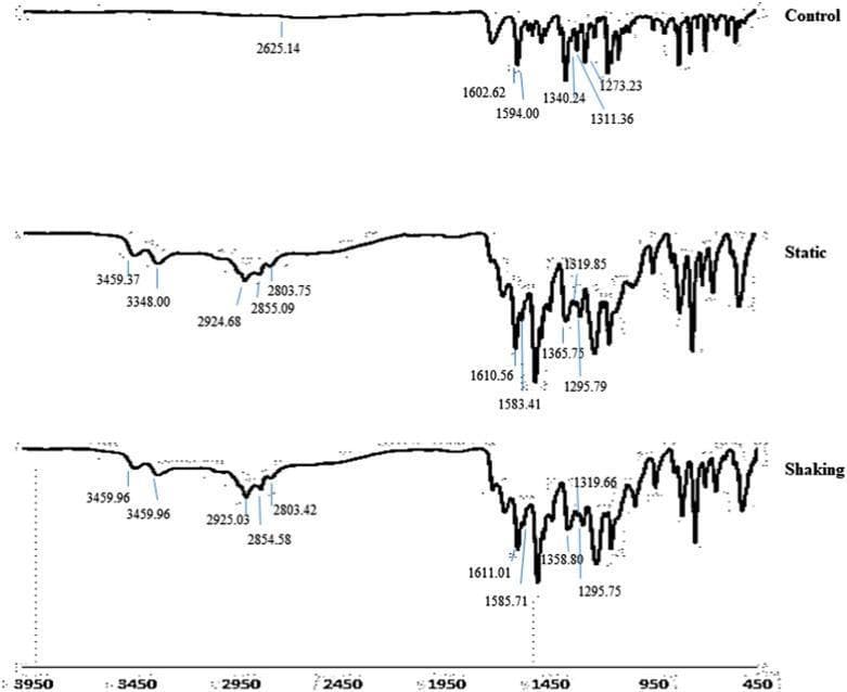 This Comparison Chart displays three Fourier Transform Infrared (FTIR) spectra illustrating the biodegradation of Methyl Red (MR) by the bacterium Lysinibacillus fusiformis strain W1B6. The x-axis represents the wavenumber (cm-1) ranging from 3950 to 450, and the y-axis shows transmittance/intensity. The top spectrum (Control) represents pure Methyl Red, showing characteristic peaks at 2625.14, 1602.62, and 1273.23 cm-1. The middle (Static) and bottom (Shaking) spectra show the chemical transformation under different culture conditions. Significant changes include the emergence of new bands between 3459 and 3348 cm-1, corresponding to primary amine (NH2) stretching resulting from the reductive cleavage of the azo bond (-N=N-). Additional new peaks at approximately 2925, 2855, and shifts in the 1610-1580 cm-1 region indicate the formation of metabolites like 2-aminobenzoic acid (2-ABA) and N,N-dimethyl-p-phenylenediamine (DMPD). This diagnostic comparison is used in medical and environmental biotechnology to characterize microbial bioremediation and enzymatic degradation pathways.