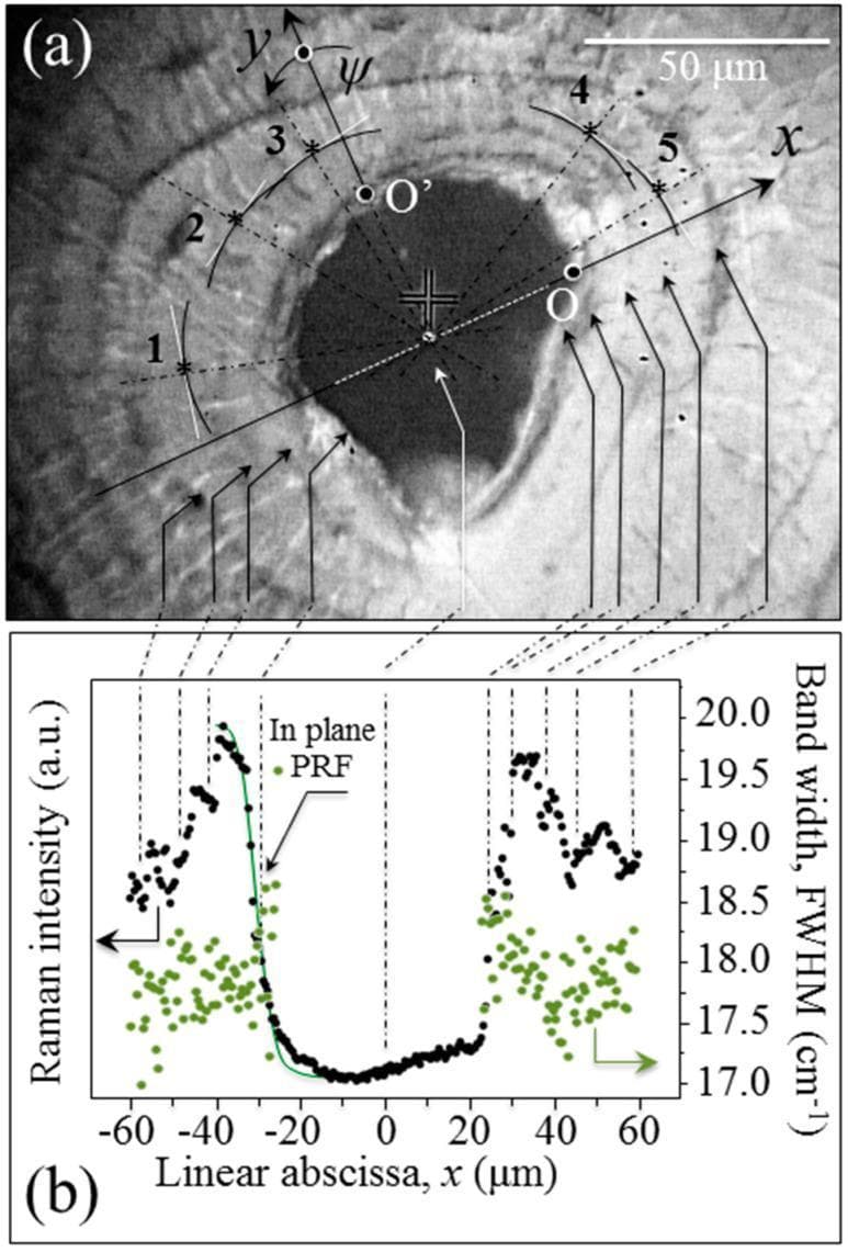 This dual-panel figure illustrates a microstructural and spectroscopic analysis of human cortical bone tissue, specifically focusing on an osteon.
Panel (a) is an optical micrograph showing a cross-section of a human proximal femur. The image features a central, dark Haversian canal surrounded by concentric osteonal lamellae. Five specific measurement locations (labeled 1–5) are marked with asterisks and connected by dashed radial lines to the canal center. A laboratory coordinate system (x, y axes and angle ψ) is overlaid to define the orientation of hydroxyapatite crystals. A 50 μm scale bar is provided.
Panel (b) is a Raman spectroscopy plot corresponding to a line scan across the osteon. It maps Raman intensity (black dots, arbitrary units) and band width/FWHM (green dots, cm⁻¹) against the linear position (x, μm). The plot shows a characteristic drop in Raman intensity and an increase in FWHM as the probe approaches the Haversian canal (x=0). A green Gaussian curve represents the 'In plane PRF' (probe response function), used to determine the spatial resolution of the laser probe (~2.8 μm).