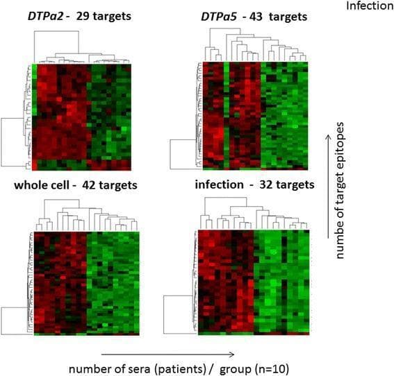 This Comparison Chart displays a matrix of four Prediction Analysis of Microarrays (PAM) heatmaps, comparing antibody recognition of Bordetella pertussis (Bp) epitopes across four study groups: DTPa2 (29 targets), DTPa5 (43 targets), whole cell vaccine (42 targets), and natural infection (32 targets). The visualization represents results from peptide microarray analysis. Each heatmap is organized with hierarchical clustering dendrograms on the top and left axes. The x-axis represents individual patient sera (n=10 per group), and the y-axis represents specific target epitopes. A color-coded scale indicates IgG signal intensity: red represents strong epitope recognition (high fluorescence), while green represents weak or no recognition. The heatmaps demonstrate distinct immunological 'reactome' profiles for each group. For instance, DTPa5 shows a dense cluster of high-intensity recognition (red), while the whole cell and infection groups exhibit more heterogeneous patterns. This data is used to differentiate the humoral immune response induced by various pertussis vaccine formulations compared to natural whooping cough infection.