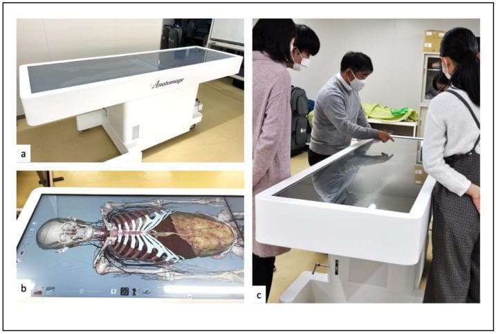 This composite educational graphic showcases the Anatomage Table™, a life-sized 3D virtual dissection and anatomy visualization tool. Image (a) displays the physical structure of the table in a horizontal orientation, featuring a large, touch-sensitive digital screen mounted on a white pedestal base with mobile casters. Image (b) provides a top-down view of the interface, demonstrating a high-resolution 3D anatomical rendering of a human cadaver in the supine position. The rendering highlights skeletal structures (cranium, rib cage), internal organs (liver, lungs), and the vascular system, emphasizing the tool's capacity for gross anatomy study. Image (c) illustrates the clinical application in an educational setting, showing a small group of medical students and an instructor interacting with the touch interface for collaborative learning. This technology serves as a digital alternative to traditional cadaveric dissection, allowing for the exploration of human anatomy through CT and MRI-based reconstructions. It is utilized in medical curricula for anatomy education, surgical planning, and physical examination training, offering a repeatable and cost-effective solution for medical residents and students.