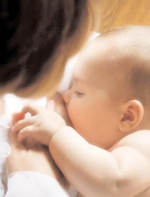 A close-up clinical photograph depicting an infant during breastfeeding. The infant is shown in profile, with eyes closed and cheek positioned against the mother's breast, demonstrating latch and active feeding. The infant's hand rests on the mother’s hand, illustrating the physical contact involved in maternal-infant bonding. The educational focus of the image is on neonatal nutrition and the transfer of host defense factors, such as secretory IgA and complex antimicrobial proteins, through breast milk. This visual highlights the clinical relevance of breastfeeding in providing passive immunity and supporting the infant’s developing immune system post-delivery. The content is suitable for medical and nursing education concerning pediatrics, lactation, and immunology.