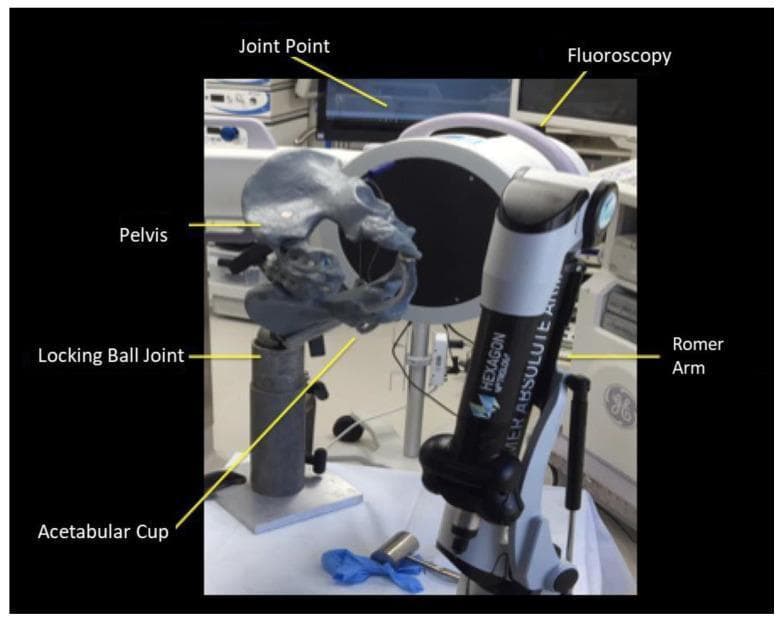 A clinical photograph depicting a biomechanical experimental setup for orthopedic research in a laboratory setting. The central component is a synthetic, gray-colored pelvic specimen (Sawbones model) securely mounted on a metallic support stand with a locking ball joint, allowing for precise angular positioning. An acetabular cup component is visible, integrated into the hip socket of the model. To the right, a Hexagon Metrology Romer Absolute Arm, a high-precision coordinate measuring machine (CMM), is positioned to collect three-dimensional spatial data and digitized anatomical landmarks. In the background, a fluoroscopy unit (C-arm) is aligned with the pelvis to generate radiological images. Labels indicate key components including the pelvis, locking ball joint, acetabular cup, Romer Arm, fluoroscopy unit, and the 'Joint Point' software interface on a monitor. This setup is utilized for validating surgical software and calculating anatomic inclination and anteversion angles by comparing 2D fluoroscopic imaging with gold-standard 3D physical measurements.