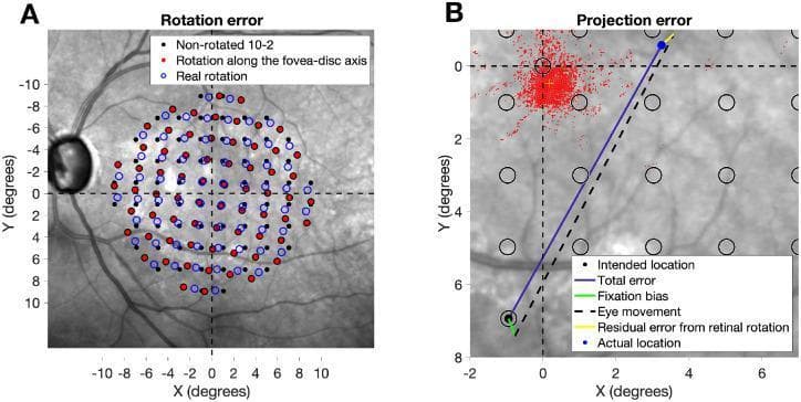 This figure illustrates the methodology for calculating rotation and projection errors in visual field (VF) perimetry using fundus imaging. Panel A shows a Spectralis fundus photograph overlaid with three different 10-2 mapping schemes centered on the fovea: a non-rotated grid (black points), a grid aligned to the fovea-disc axis (red points), and the actual observed retinal rotation from a Compass Microperimeter (empty blue circles). This demonstrates how anatomical variation affects the alignment of stimuli coordinates. Panel B provides a high-magnification view of a fundus-based coordinate system (in degrees) used to quantify projection errors. It distinguishes between intended test locations (empty black circles) and the actual stimulus location (blue dot). Visual markers represent different error components: a red dot cloud indicating fixation positions, a green line for fixation bias, a dashed black line for eye movement, and a yellow line for residual error from retinal rotation. The solid blue line connects the intended location to the actual projection, representing total error. This comparison is critical for structure-function analysis in ophthalmology, particularly for monitoring glaucoma progression.