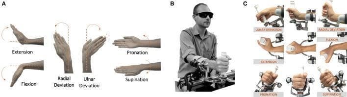 This composite educational image illustrates the three degrees of freedom (DoFs) of the human wrist and a corresponding robotic rehabilitative/experimental device. Section A is an anatomical diagram depicting the range of motion for flexion and extension in the sagittal plane, radial and ulnar deviation in the coronal plane, and pronation and supination along the longitudinal axis of the forearm. Section B shows a clinical photograph of a blindfolded participant utilizing a high-precision robotic wrist manipulandum, with the forearm strapped to a mechanical support to ensure joint alignment and repeatability. Section C provides a detailed series of clinical images showing the kinematics of the robotic device as it facilitates specific wrist movements: ulnar and radial deviation, flexion and extension, and pronation and supination. This visual material is intended for medical training in orthopedics, physical therapy, and robotic rehabilitation, demonstrating the interface between biomechanical joint movement and haptic haptic feedback technology.