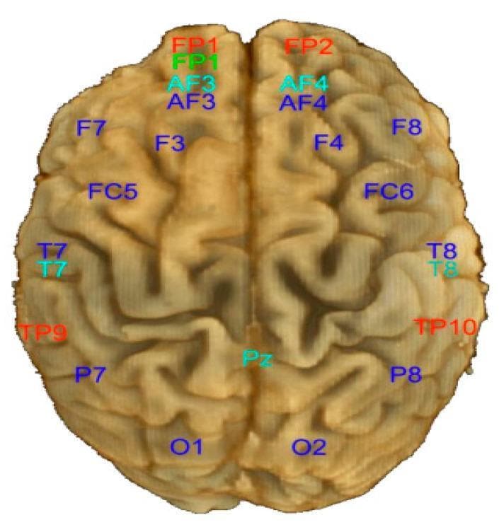 This anatomical diagram presents a superior (top-down) view of the human brain, illustrating the standardized electrode placement for the Emotiv EPOC 14-channel electroencephalography (EEG) system. The brain's cortical gyri and sulci are visible, with the longitudinal fissure dividing the left and right hemispheres. Electrodes are labeled according to the International 10-20 system nomenclature. In the left hemisphere, channels include AF3 (Anterior Frontal), F7 and F3 (Frontal), FC5 (Frontocentral), T7 (Temporal), P7 (Parietal), and O1 (Occipital). Symmetric placements in the right hemisphere are labeled AF4, F8, F4, FC6, T8, P8, and O2. Frontal pole labels (FP1 and FP2) are positioned at the anterior aspect, while a midline parietal electrode (Pz) is shown near the posterior vertex. Additionally, mastoid or temporoparietal reference points (TP9 and TP10) are marked. The diagram utilizes color-coded text to differentiate specific electrode groups, with the primary 14 recording channels typically highlighted in dark blue. This visual serves as a topographical map for clinical neurophysiology and research applications involving portable EEG cap configurations.