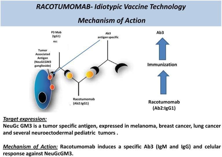 A pathophysiology diagram illustrating the mechanism of action of Racotumomab (Ab2:IgG1), an anti-idiotypic vaccine targeting the NeuGcGM3 ganglioside tumor-associated antigen. The visual shows a tumor cell (blue ellipse) expressing NeuGcGM3 (orange circles). An initial antibody (Ab1, P3 Mab) recognizes this antigen. Racotumomab is depicted as an Ab2 anti-idiotype antibody that mimics the original antigen's structure. The diagram uses a branched Y-shaped schematic to show how Racotumomab administration triggers an active immune response (labeled 'Immunization'), resulting in the production of antigen-specific Ab3 antibodies (IgM and IgG). These Ab3 antibodies are shown binding to the NeuGcGM3 antigen on the tumor cell surface, demonstrating the vaccine's ability to overcome the poor immunogenicity of gangliosides. The text highlights that NeuGcGM3 is expressed in melanoma, breast cancer, lung cancer, and neuroectodermal pediatric tumors, establishing the clinical relevance of this immunotherapy in oncology.