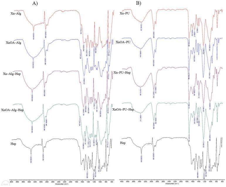 This diagnostic comparison chart displays Fourier-Transform Infrared (FTIR) spectra of biocompatible polymer matrices designed for tissue engineering and drug delivery. The image is divided into two panels: (A) xanthan-alginate (Xn-Alg) based materials and (B) xanthan-polyurethane (Xn-PU) based materials, both evaluated with and without chemical modification (XnOA) and heparin (Hep) loading.
Key educational features include:
- Broad absorption bands at approximately 3338–3373 cm⁻¹, signifying -OH and -NH- stretching vibrations essential for material hydration and structural stability.
- Carbonyl group signals near 1737 cm⁻¹, used to verify the chemical modification of xanthan with oleic acid (XnOA).
- Specific heparin markers, including sulphate group vibrations (S=O) at 1240–1249 cm⁻¹ and carboxylate (-COO-) stretching at 1433 cm⁻¹, which confirm successful incorporation of the anticoagulant into the scaffold.
- Comparisons between matrices demonstrate the influence of polyurethane versus alginate on the hydrogen bonding and functional group distribution, critical for predicting material performance in human biomedical applications such as scaffold-based regeneration.