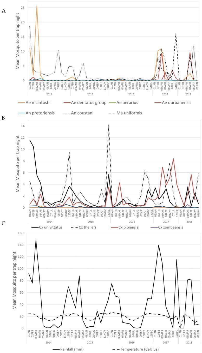 A multi-panel line graph illustrating the temporal abundance of mosquito vectors associated with alphavirus transmission, alongside environmental data. Panel A tracks the mean abundance per trap night for Aedes (Ae. mcintoshi, Ae. dentatus, Ae. aerarius, Ae. durbanensis), Anopheles (An. pretoriensis, An. coustani), and Mansonia (Ma. uniformis) species from January 2014 to May 2018. Panel B displays abundance data for Culex species, including Cx. univittatus, Cx. theileri, Cx. pipiens s.l., and Cx. zombaensis. Panel C provides contextual environmental data, showing monthly rainfall in millimeters and mean temperature in degrees Celsius over the same period. The data demonstrates seasonal fluctuations in vector density, highlighting specific peaks in species like Ae. mcintoshi and Cx. univittatus that correlate with high rainfall events and specific temperature ranges. This infographic serves as an epidemiological tool for understanding the ecological drivers of mosquito-borne diseases like Sindbis, Middelburg, and Ndumu virus outbreaks in South Africa.
