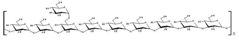 This molecular diagram depicts the chemical structure of an alpha-glucan, a complex carbohydrate (polysaccharide) isolated from the mushroom Agaricus bisporus. The structure is represented as a polymeric repeating unit enclosed in brackets with a subscript 'n'. The primary chain consists of a series of alpha-D-glucopyranose rings (glucose monomers) linked via (1→4) glycosidic bonds. A characteristic branching point is shown where a single glucose unit is attached to the main chain via an alpha-(1→6) glycosidic linkage. Each pyranose ring displays hydroxyl (-OH) functional groups and a primary alcohol group (-CH2OH), highlighting the hydrophilic nature of the molecule. This structure is chemically similar to glycogen and is studied in medical research for its immunomodulatory properties, specifically its ability to activate macrophages and stimulate tumor necrosis factor-alpha (TNF-alpha) production, which is relevant to immunology and pharmacology.