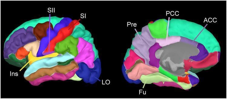 This diagnostic anatomical diagram displays a 3D cortical parcellation of the human brain based on the Desikan-Killiany atlas. The image features two views: a lateral view of the left hemisphere (left) and a medial view of the right hemisphere (right). Various cortical regions are color-coded to delineate functional areas involved in pain processing and connectivity analyses. In the lateral view, the primary somatosensory cortex (SI) is highlighted in red along the postcentral gyrus, the secondary somatosensory cortex (SII) is shown in blue-violet within the parietal operculum, and the insular cortex (Ins) is visible in yellow. The lateral occipital area (LO) is also indicated in deep blue. In the medial view, the anterior cingulate cortex (ACC) is depicted in teal, the posterior cingulate cortex (PCC) in light pink/green, the precuneus (Pre) in lavender, and the fusiform gyrus (Fu) in light green. This visualization serves as a neuroimaging template for mapping regional current density and connectivity in clinical research, specifically for studying the 'pain matrix' and its correlation with subjective pain scales like the Visual Analogue Scale (VAS).