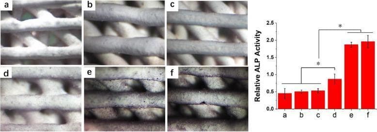 Educational comparison chart and graph detailing alkaline phosphatase (ALP) staining on 3D-printed hydroxyapatite (HA) scaffolds. The visual displays six panel images (a–f) showing MC3T3-E1 cells cultured for 7 days under various conditions: (a) HA only, (b) PSI10@HA, (c) PSI10/HABP@HA, (d) BMP2-MP@HA, (e) BMP2-MP/HABP@HA, and (f) a combination of PSI10/HABP and BMP2-MP/HABP@HA. Panels a–c show minimal staining, indicating baseline ALP activity. Panel d exhibits moderate purple staining, while panels e and f show significant, dense purple staining across the scaffold filaments, indicating robust osteogenic differentiation. Adjacent to the images is a red bar graph quantifying 'Relative ALP Activity' across the same groups (a–f), showing a progressive increase in activity that peaks in groups e and f. Asterisks indicate statistical significance (p < 0.05). This material illustrates early bone matrix mineralization and the efficacy of using HA-binding peptides (HABP) to deliver bone morphogenetic protein-2 (BMP2) for enhanced osteoinduction in regenerative medicine.