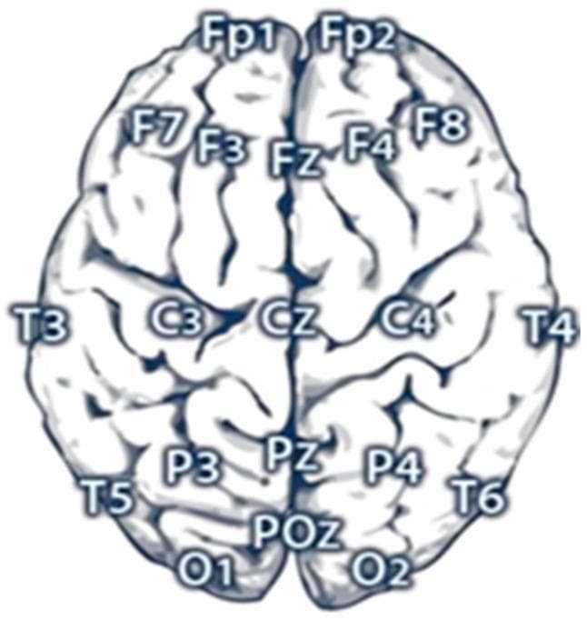 This anatomical diagram illustrates the standardized electrode placement for Electroencephalography (EEG) mapping over a superior view of the human brain. The visualization shows a 21-electrode configuration based on the International 10-20 system, emphasizing key cortical regions including frontal, central, parietal, temporal, and occipital lobes. Along the sagittal midline, the electrodes are labeled Fp (frontal pole), Fz (frontal), Cz (central), Pz (parietal), and POz (parietal-occipital). Bilateral symmetric electrodes are identified by odd numbers for the left hemisphere (Fp1, F3, F7, C3, T3, P3, T5, O1) and even numbers for the right hemisphere (Fp2, F4, F8, C4, T4, P4, T6, O2). The diagram serves as an educational tool for neuroscience and clinical neurophysiology, demonstrating the precise spatial distribution required for monitoring regional cerebral electrical activity and identifying cortical signal origins during diagnostic procedures like epilepsy monitoring or cognitive research.