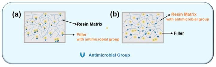 Educational comparison diagram of two antimicrobial dental resin composite strategies: (a) Filler-type and (b) Resin-type. The diagrams illustrate the microscopic structure consisting of a light-blue linear resin matrix and yellow circular filler particles. In the filler-type strategy (a), blue 'U'-shaped icons representing antimicrobial groups are attached specifically to the surface of the yellow filler particles, indicating modified filler surfaces or antimicrobial agent incorporation within the filler. In the resin-type strategy (b), the blue 'U'-shaped antimicrobial groups are covalently bonded directly to the light-blue lines of the resin matrix, as well as associated with the fillers. The diagram illustrates how biocidal moieties like quaternary ammonium methacrylates (QAMs) or MDPB can be integrated into dental materials to provide antibacterial properties. This visual helps dental students and biomaterial researchers understand the difference between surface-released antimicrobial agents (filler-type) and immobilized, long-term antimicrobial properties achieved through copolymerization (resin-type) in restorative dentistry.