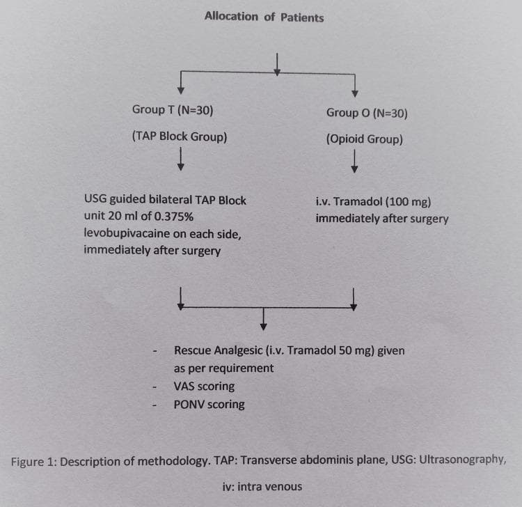 This clinical research flowchart outlines the methodology for a randomized comparative study in anesthesiology, focusing on postoperative pain management. The protocol begins with the 'Allocation of Patients' into two distinct cohorts of 30 subjects each. Group T (TAP Block Group) receives an ultrasound-guided (USG) bilateral transverse abdominis plane (TAP) block using 20 ml of 0.375% levobupivacaine per side immediately post-surgery. Group O (Opioid Group) receives 100 mg of intravenous (i.v.) tramadol immediately post-surgery. Both experimental pathways converge into a standardized follow-up protocol consisting of three components: administration of rescue analgesia (i.v. tramadol 50 mg) as required, Visual Analog Scale (VAS) scoring for pain assessment, and monitoring of Postoperative Nausea and Vomiting (PONV). This diagram illustrates a clinical trial design comparing regional anesthesia techniques against systemic opioid administration for efficacy in postoperative analgesia.