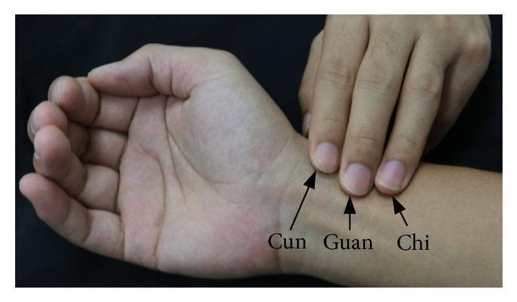A clinical photograph illustrating the traditional technique for radial artery pulse palpation on the right wrist, often utilized in Traditional Chinese Medicine (TCM). The image shows the index, middle, and ring fingers of one hand placed over the radial styloid region of the opposite wrist. Three specific palpation points are labeled from distal to proximal: 'Cun' (index finger position, nearest the wrist crease), 'Guan' (middle finger position, over the radial styloid process), and 'Chi' (ring finger position, proximal to the styloid). The positioning demonstrates the assessment of arterial pulsations for clinical diagnosis. Anatomical landmarks visible include the distal radius area, the palmar wrist crease, and the tendons of the forearm. This visual is used to teach manual pulse examination techniques and the specific topographic locations required for arterial hemodynamic evaluation in integrative medicine.